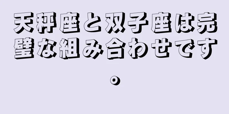 天秤座と双子座は完璧な組み合わせです。