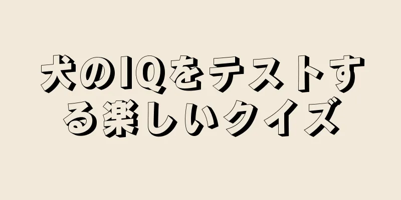 犬のIQをテストする楽しいクイズ