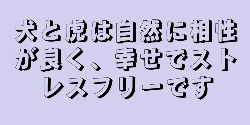 犬と虎は自然に相性が良く、幸せでストレスフリーです