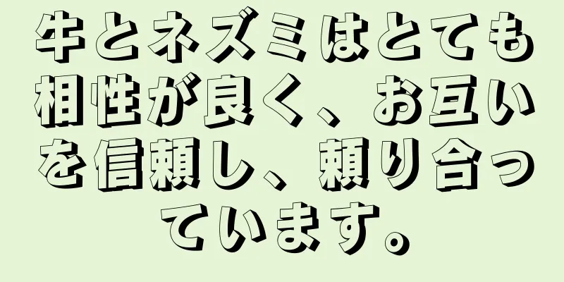 牛とネズミはとても相性が良く、お互いを信頼し、頼り合っています。