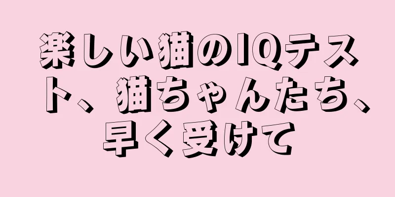 楽しい猫のIQテスト、猫ちゃんたち、早く受けて
