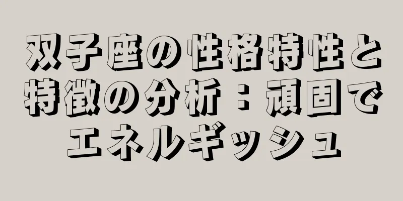 双子座の性格特性と特徴の分析：頑固でエネルギッシュ