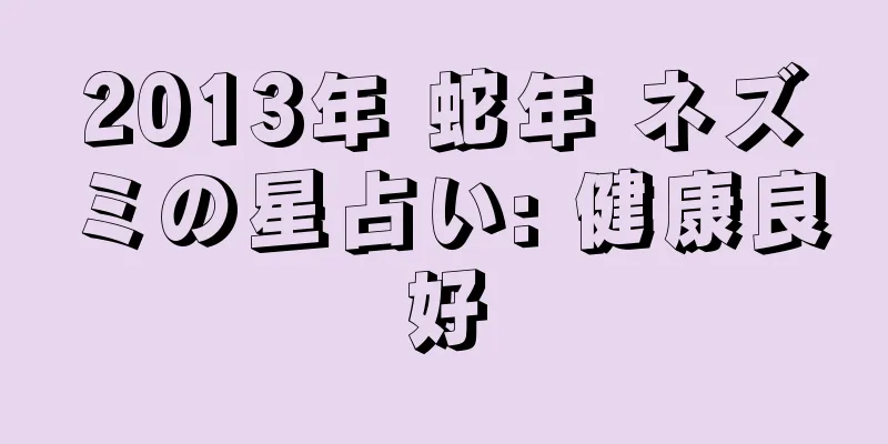 2013年 蛇年 ネズミの星占い: 健康良好