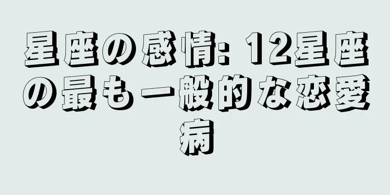 星座の感情: 12星座の最も一般的な恋愛病