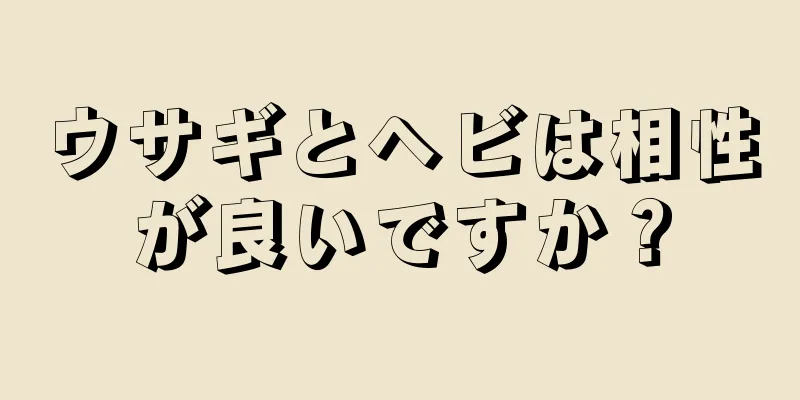 ウサギとヘビは相性が良いですか？