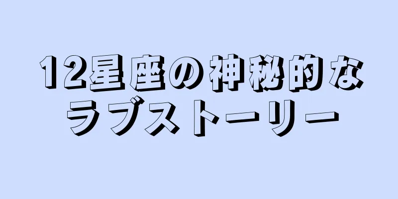 12星座の神秘的なラブストーリー