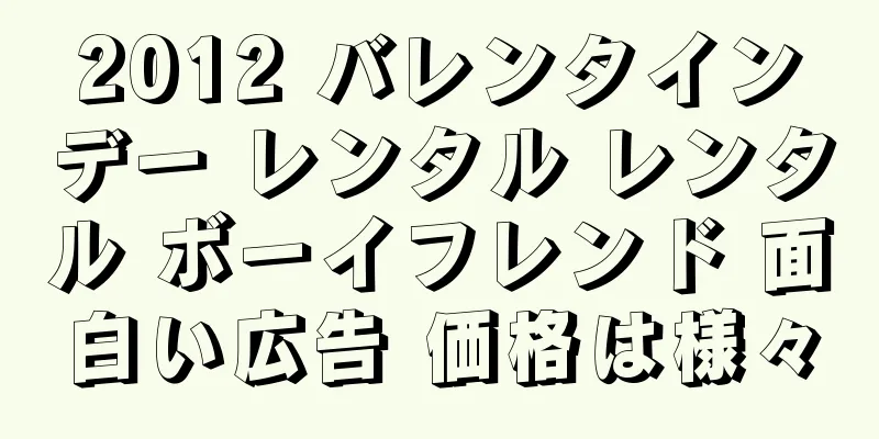 2012 バレンタインデー レンタル レンタル ボーイフレンド 面白い広告 価格は様々