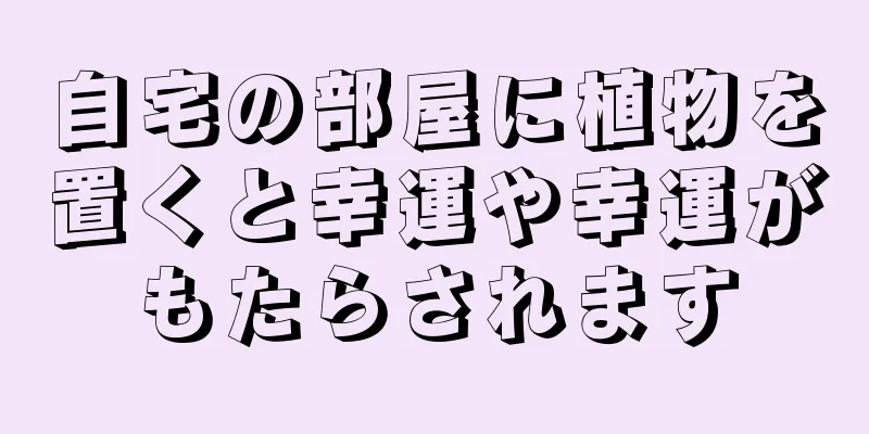 自宅の部屋に植物を置くと幸運や幸運がもたらされます